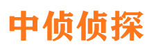 华阴寻人公司